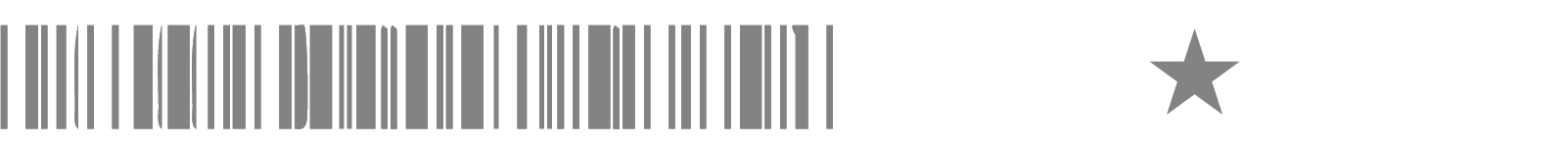 Footer Logo